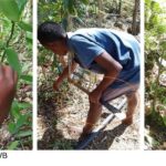 Assessing Physical Risks Of Young Workers In Agriculture: Special Groups Need Special Methods