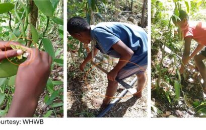 Assessing Physical Risks Of Young Workers In Agriculture: Special Groups Need Special Methods