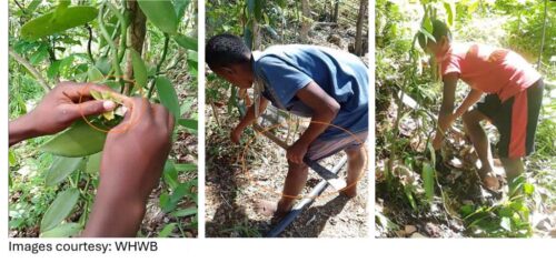 Assessing Physical Risks Of Young Workers In Agriculture: Special Groups Need Special Methods