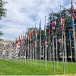 IEA at the International Labour Conference