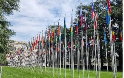 IEA at the International Labour Conference