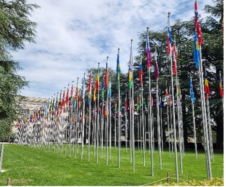 IEA at the International Labour Conference